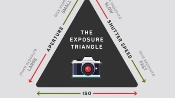 Read more about the article Photography 101. Get full control of your digital camera (re-run)
