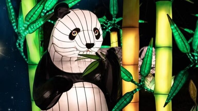 Read more about the article WWII walk in Rhenen and Chinese Light Festival