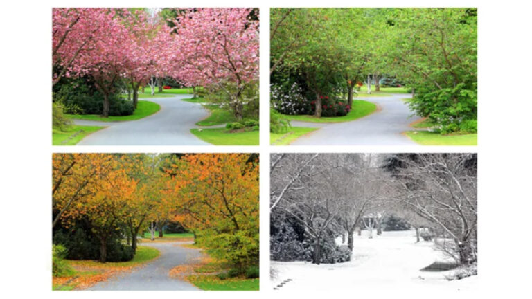 Read more about the article Photowalk: Four Seasons 2025 – Summer edition