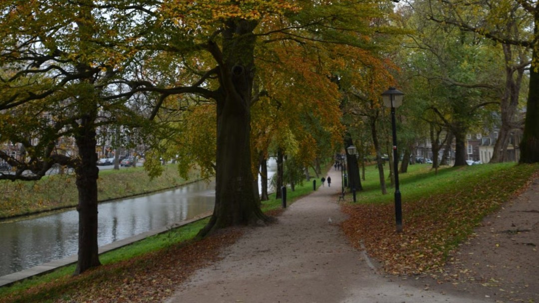 You are currently viewing Rondje Singel & Zocherpark